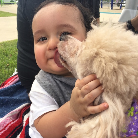 Meet the seller/buyer - Picture 6 of 7